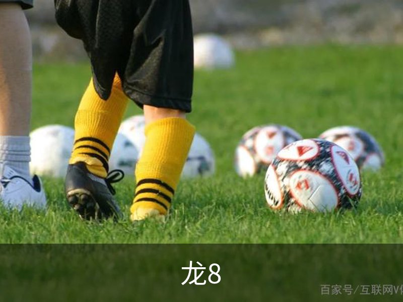 龙8概况